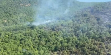 Изгаснат пожарот кај Липково, гори на две локации